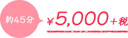 約45分 5,000円+税