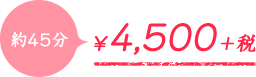 約45分 4,500円+税