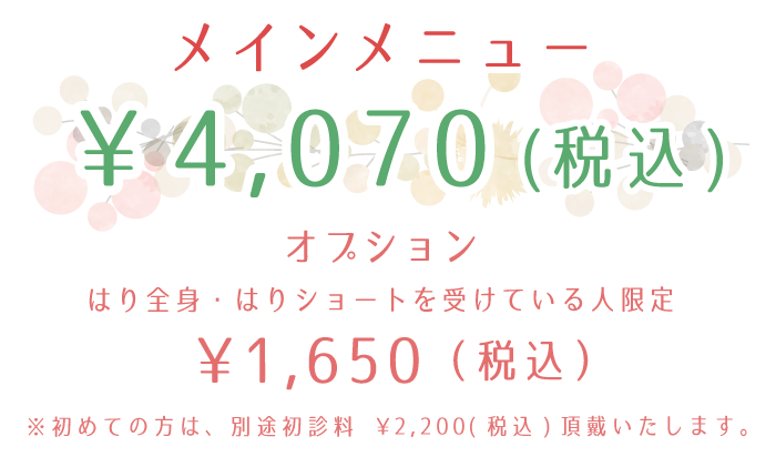 メインメニュー ¥3,700(＋税)