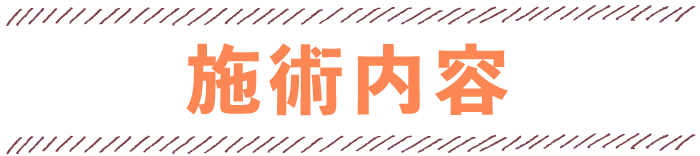 施術内容